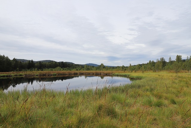 šumavská krajina